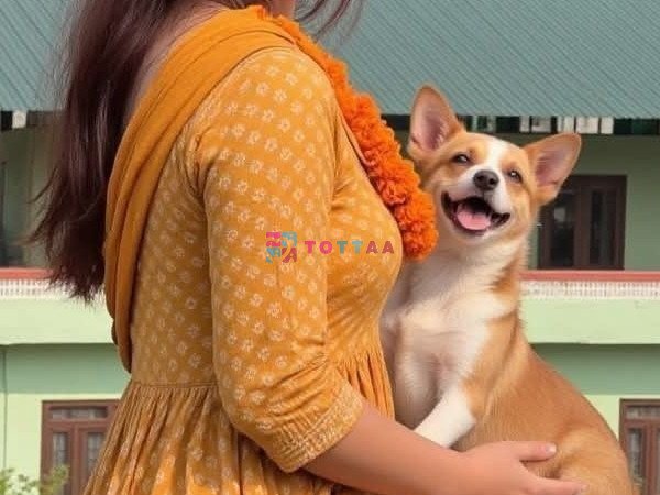 ➡️HOT & SEXY MODELS // COLLEGE GIRLSAVAILABLE FOR COMPLETE ENJOYMENT WITH HIGH PROFILE INDIAN MODEL